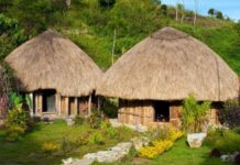 Rumah Adat Papua yang Unik Yaitu Honai